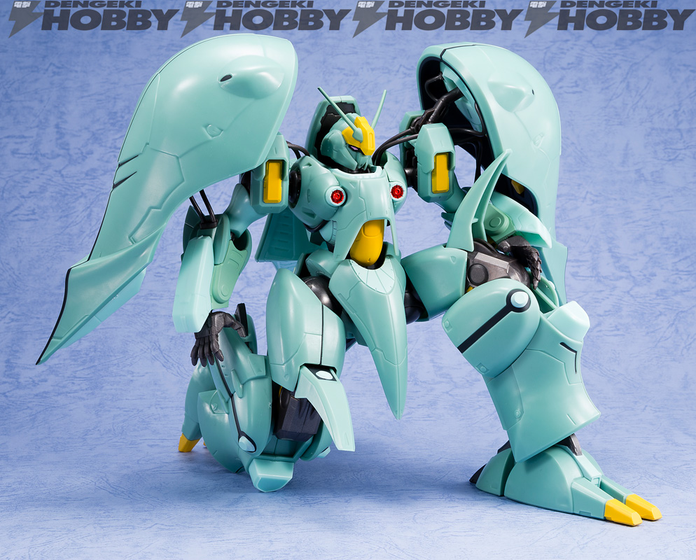 締切日直前レビュー！超巨大サイズのクィン・マンサの魅力を徹底