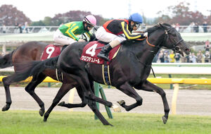 東京スポーツ杯2歳S】クロワデュノールが新馬戦最速Vから連勝で重賞