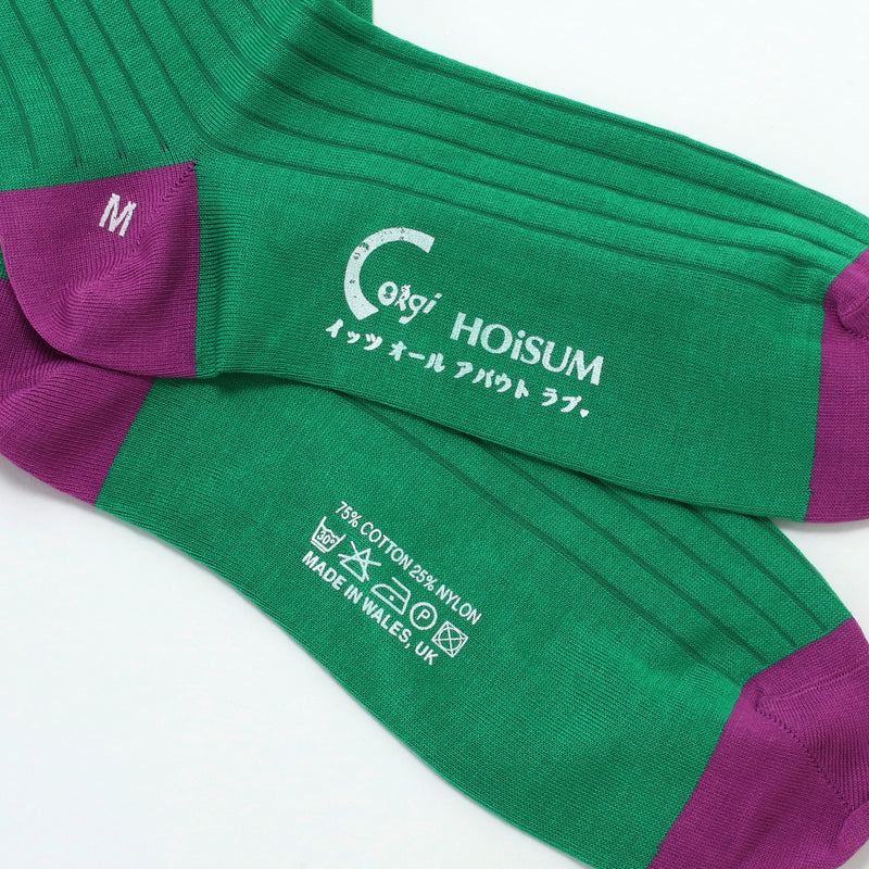 HOiSUM×Corgi High gauge socks – HOiSUM MART