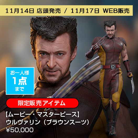 ホットトイズ25周年