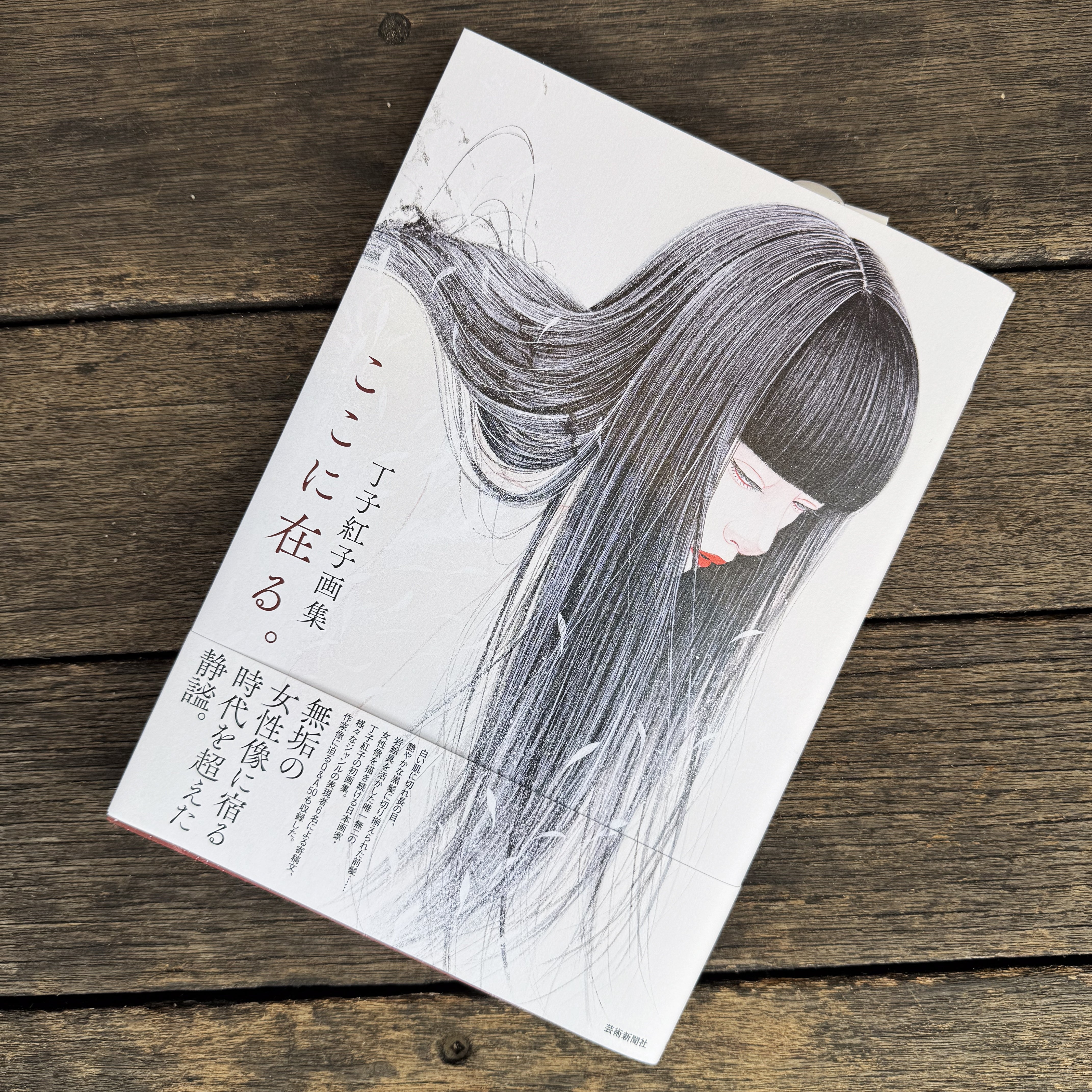 丁子紅子さんの画集に作品が掲載されました！ – hugcoffee