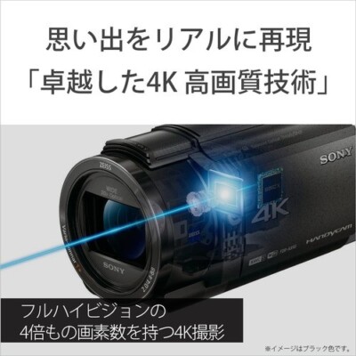 ソニー FDR-AX45A TI 4Kビデオカメラ Handycam | eBay