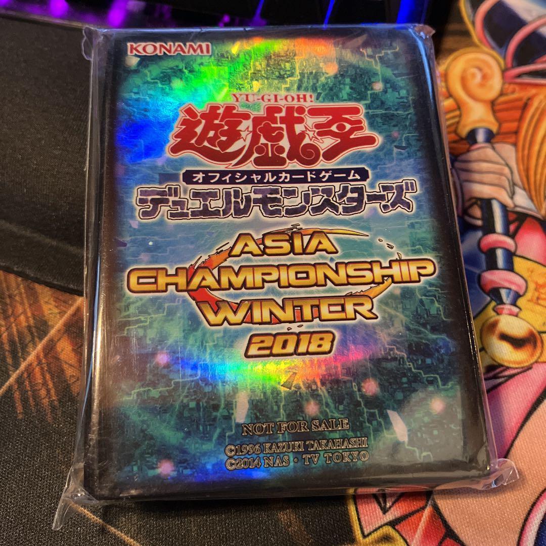 レッドアイズ・ダークネスメタル 遊戯王 JUDGE 2018 スリーブ 70枚