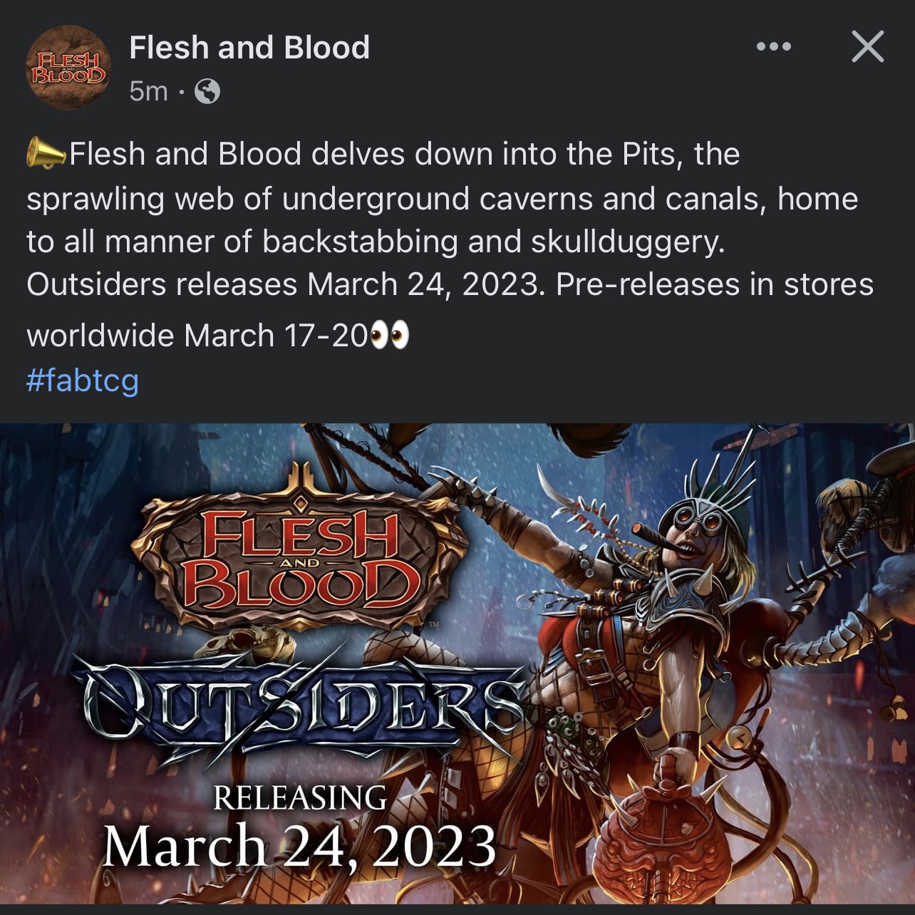 Flesh & Blood Outsiders Announced! : r/FleshandBloodTCG