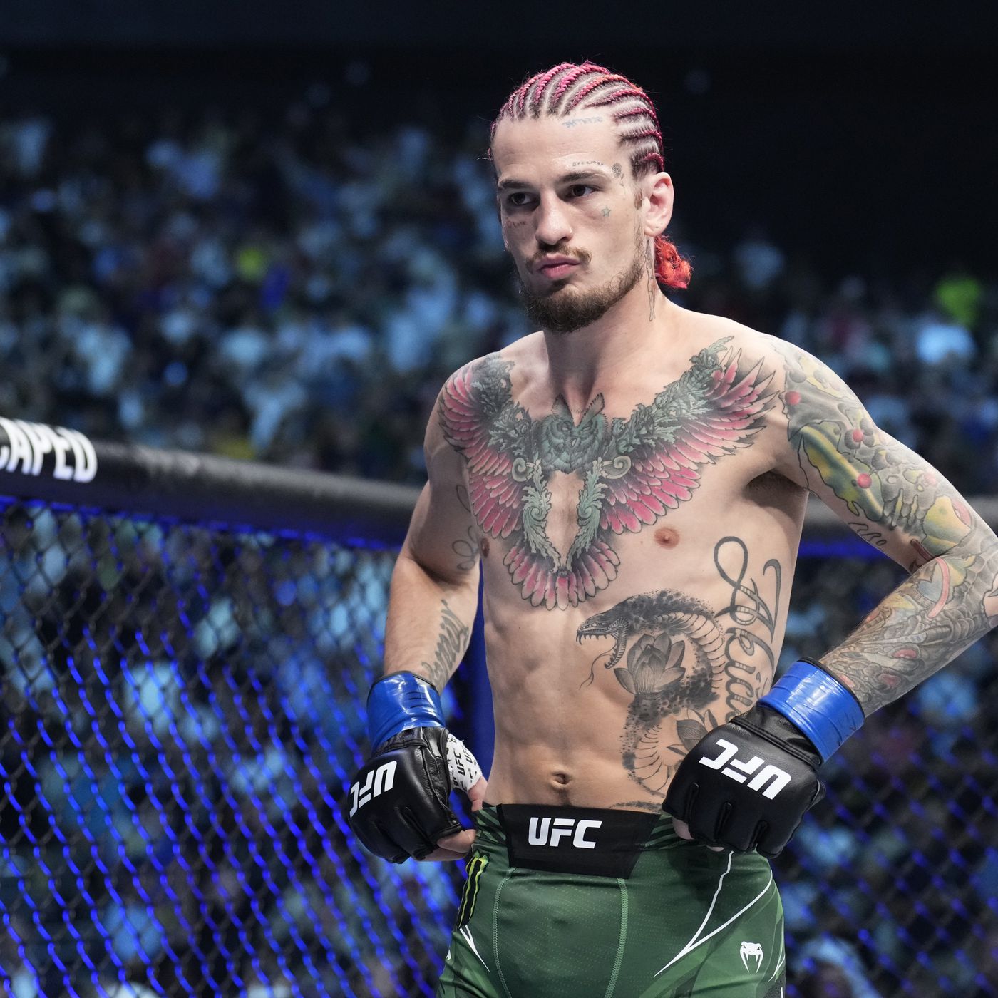 ショーン・オマリーは、モンタナ州出身初のUFCチャンピオンだ。彼は