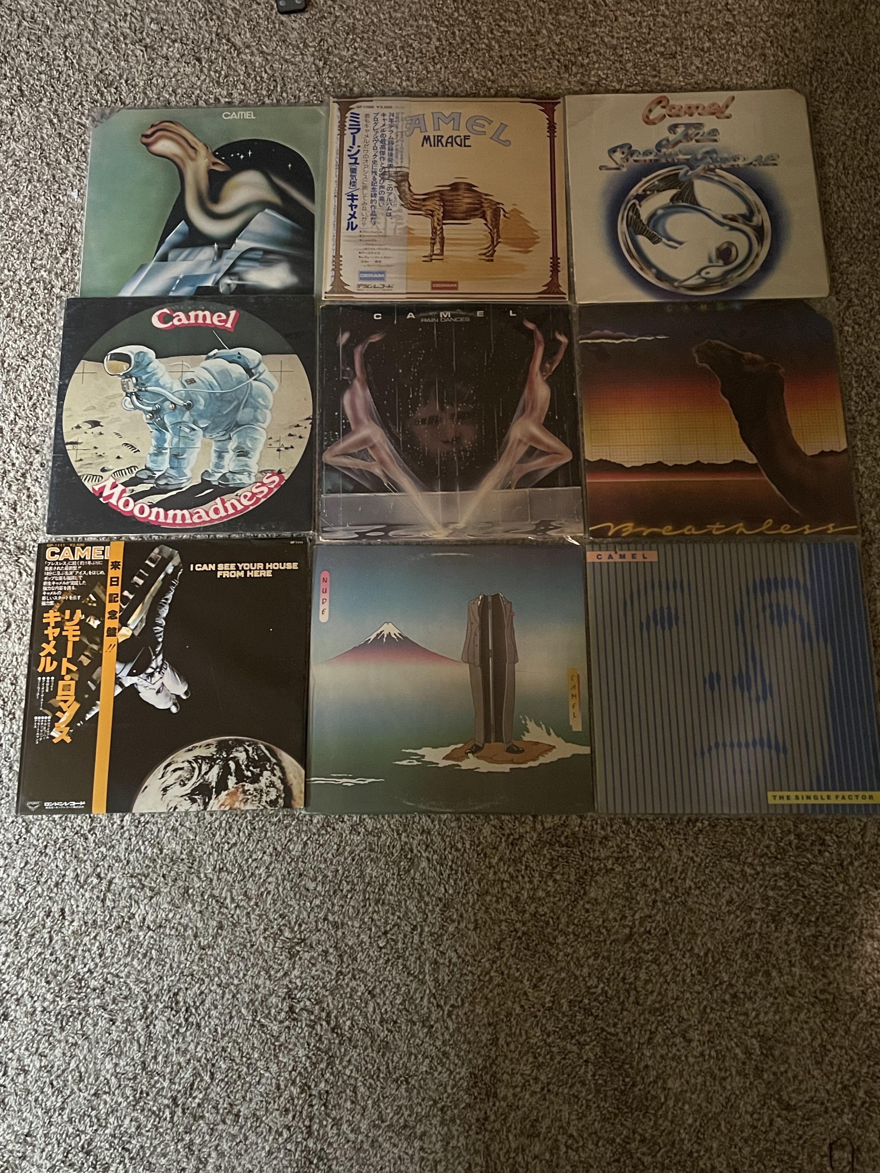 Camel collection so close to being completed! : r/vinyl