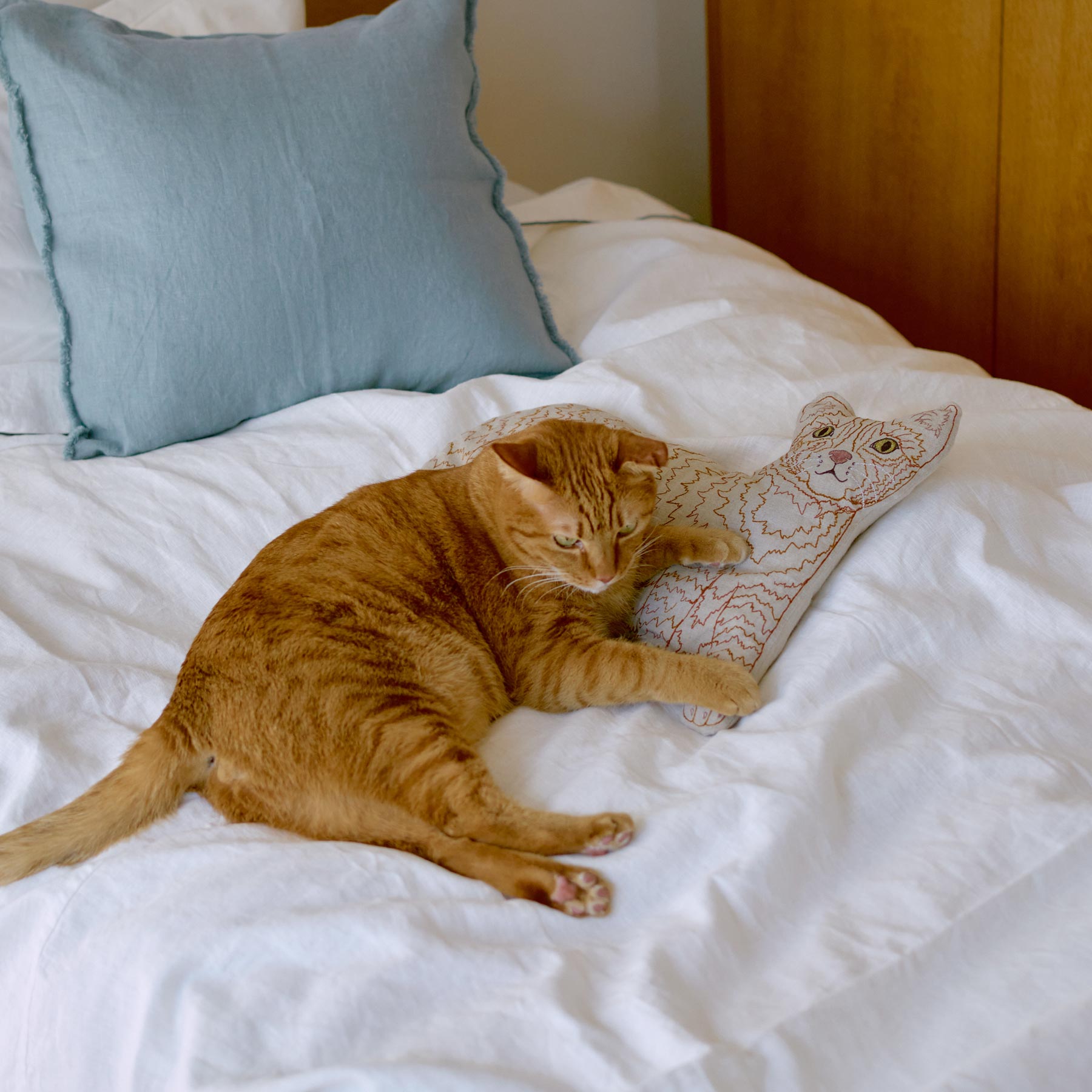 Coral & Tusk × Orneko ネコクッション｜オルネコ（クッション・マット