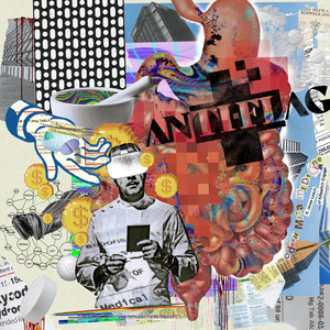 The KKK Took My Baby Away - Live and Acoustic in Vienna - song and