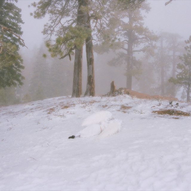 Pandora - EP by Wisp | Spotify