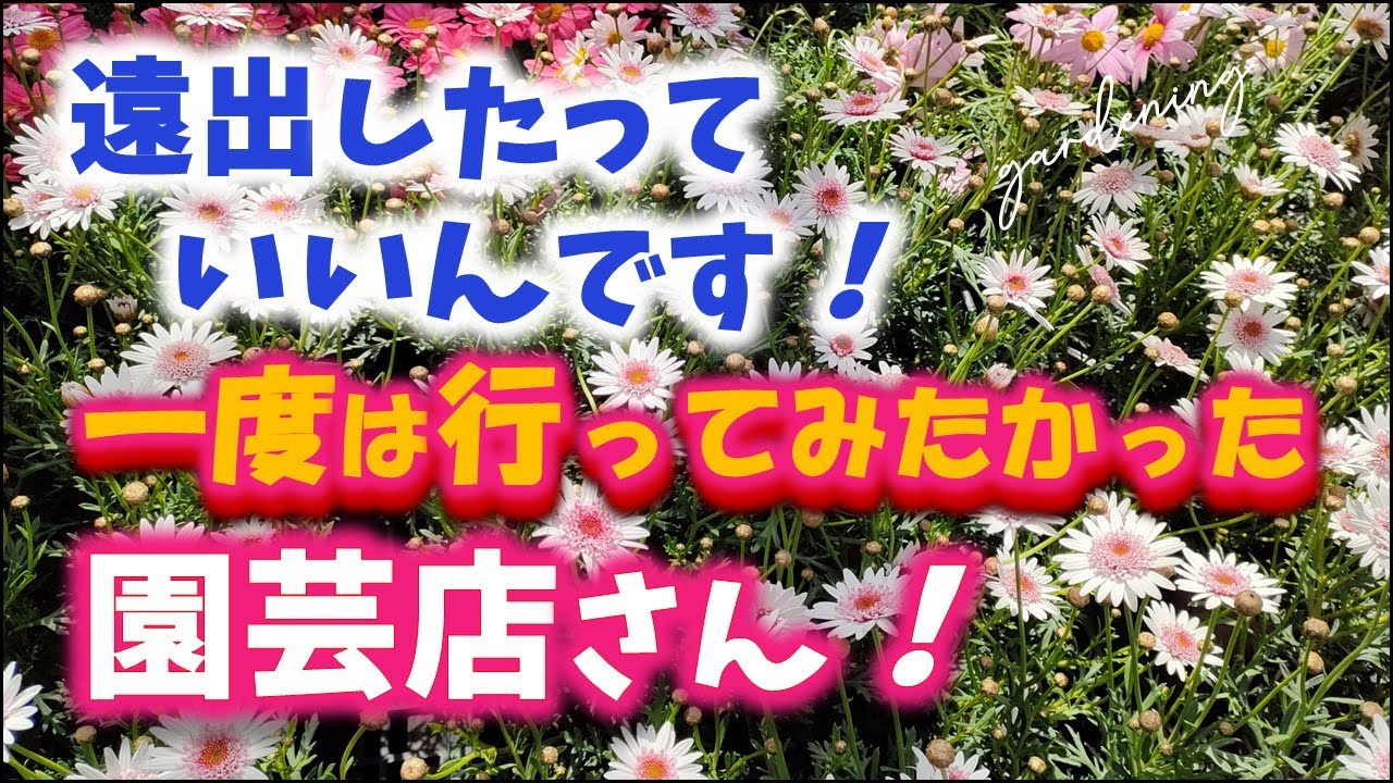 Gardening] A gardening store I wanted to visit even though it was