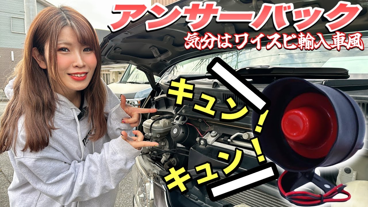 2way簡易アラーム□液晶リモコン アンサーバック機能&ドミニク