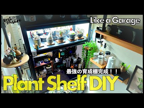 New Plant Shelf: Grow, Display, and Repot Your Plants with the