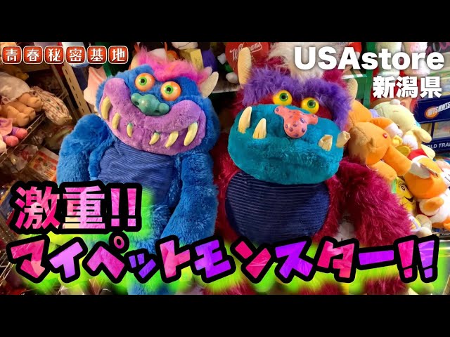 いつか欲しいマイペットモンスター!!実際の迫力に重量感は説得力ありの