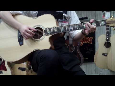 Cole Clark / CCFL3EC-BB Fat Lady S/N:141128757 アルペジオ編【新宿