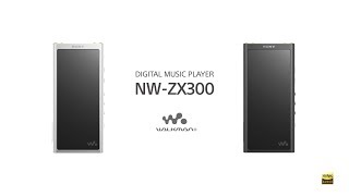 箱入りみかんさん専用【美品】SONY ウォークマン NW-ZX300 箱入り