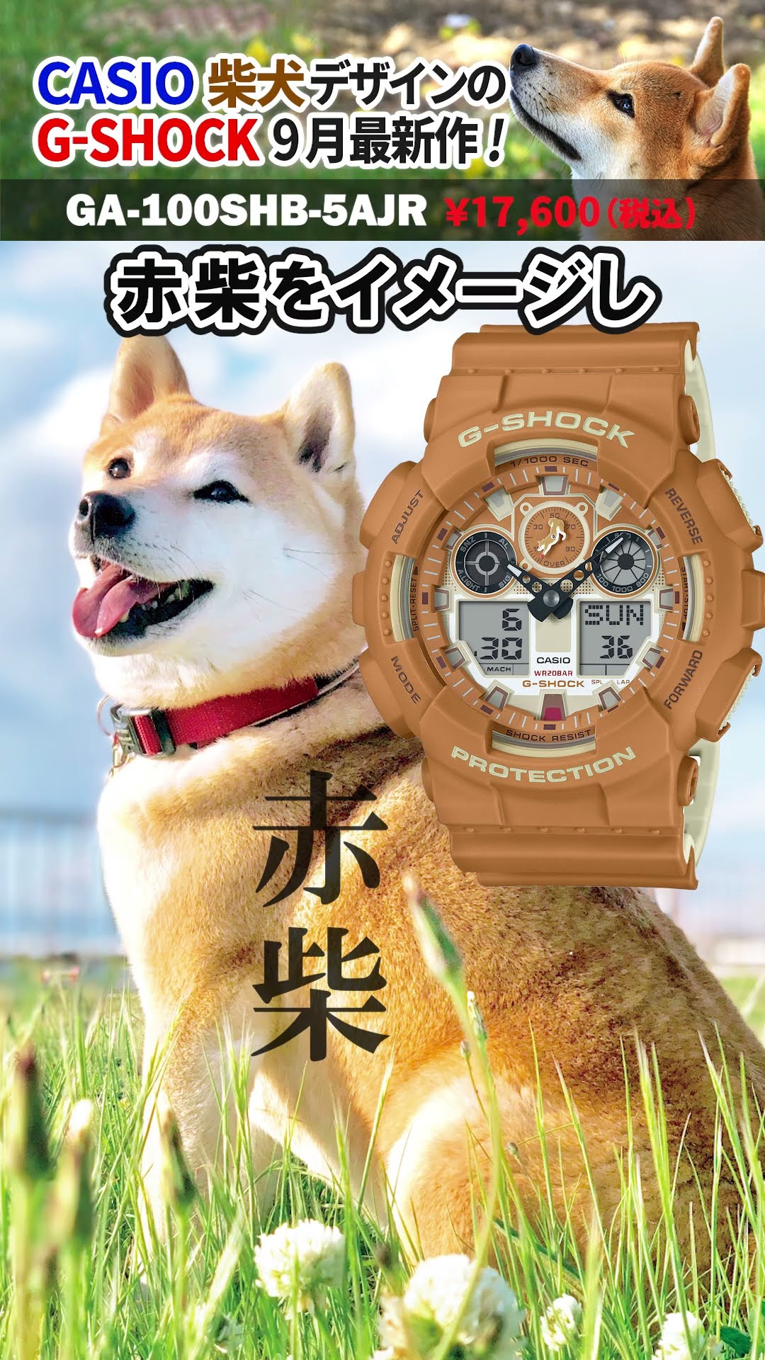 CASIO G-SHOCK】2024年9月新作速報！海外でも人気が高く、天然記念物に