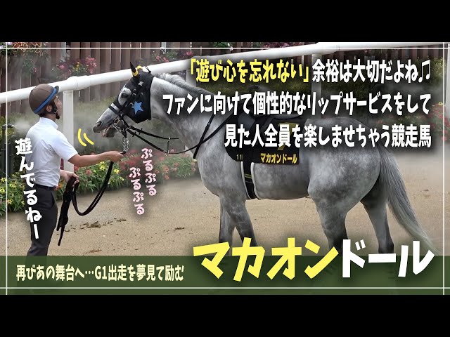 ゴールドシップ産駒】遊び心で余裕を見せる！能力を魅せながら可愛い