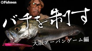 Beams BeamsCRAWLA9.2L＋（ビームス クローラ）|シーバス、トラウト