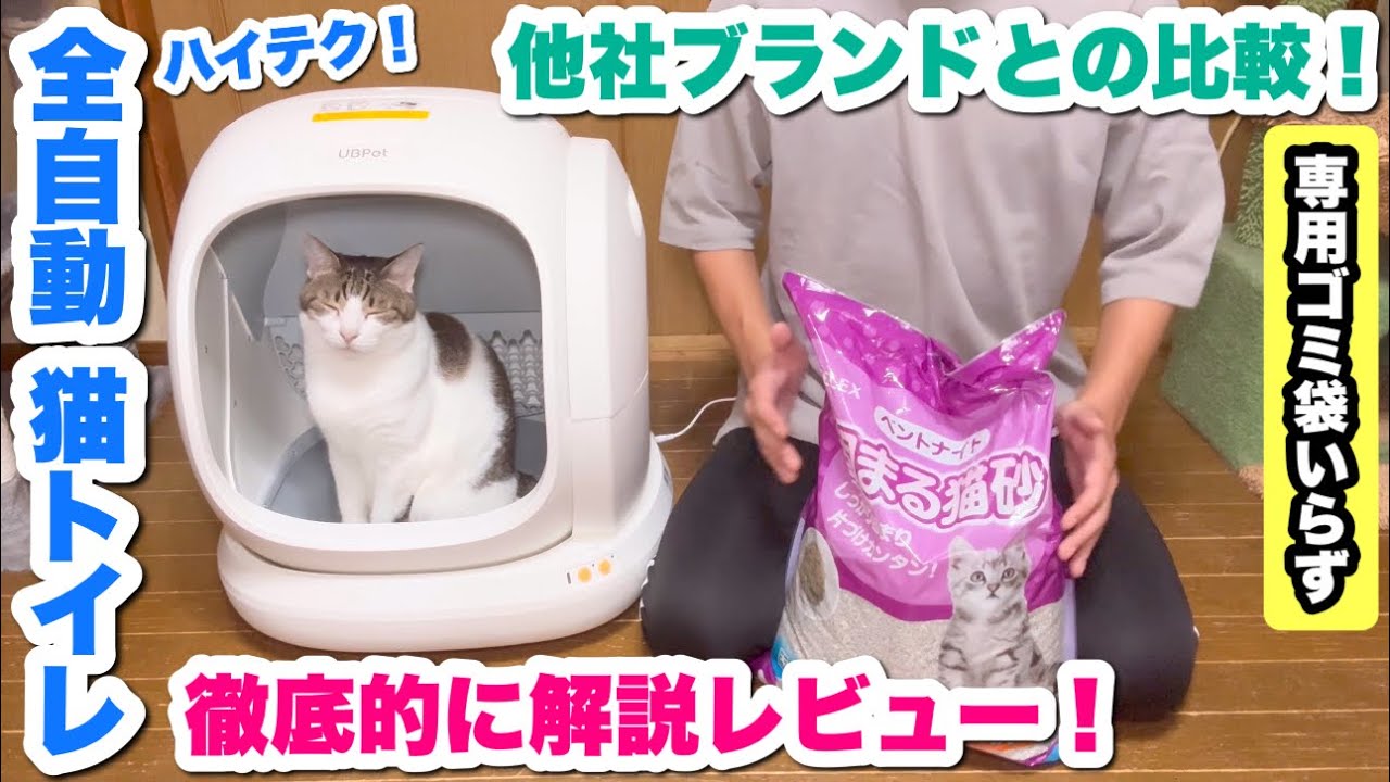 The latest fully automatic cat litter box is amazing, so we'll