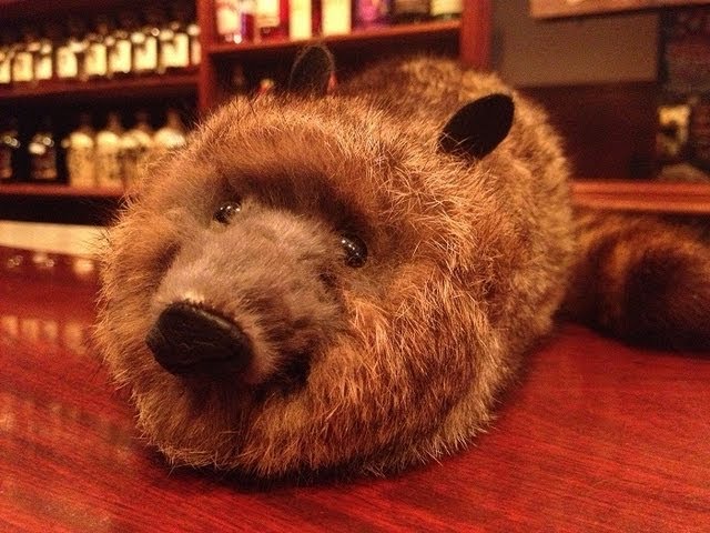 ジグザグラッキー！！】 ~サギーのマジック~ - YouTube