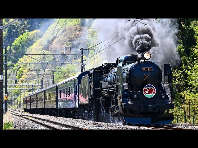 C61 20】SLレトロぐんま水上号【旧型客車】2025年新緑編 JNR Class C61