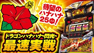 パチスロ新機種情報】 Sドラゴンハナハナ～閃光～DX | 株式会社ゼンリン