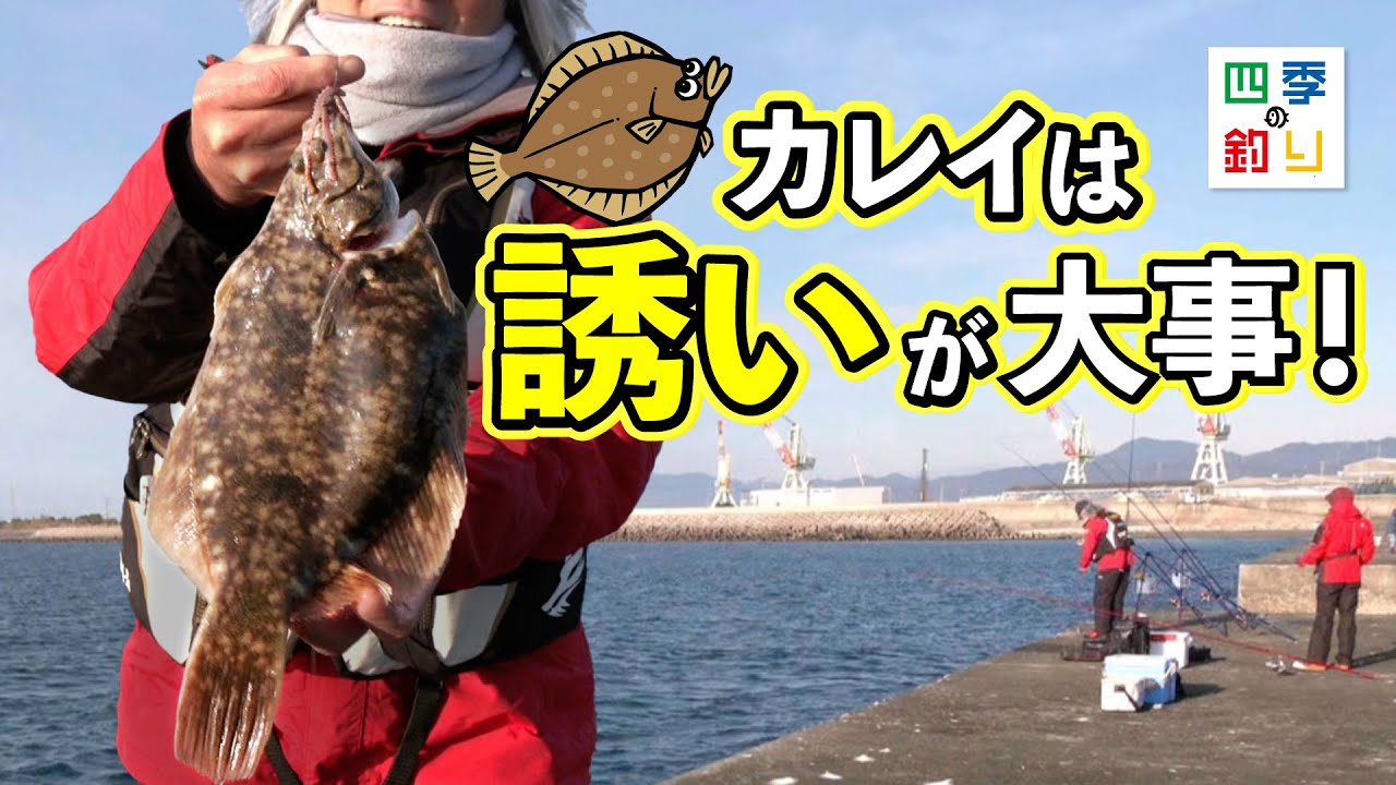 グレ五目 1m付・ケイムラフック | 釣り｜海釣り仕掛｜渓流仕掛