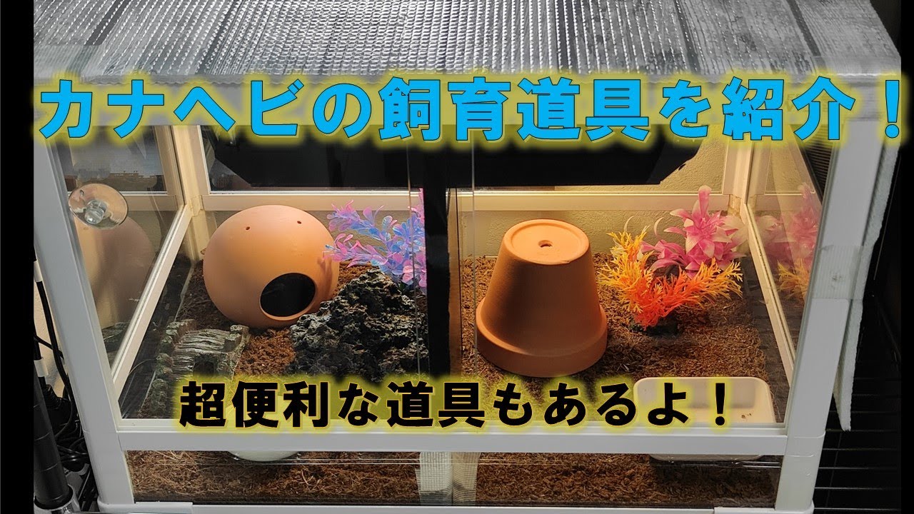 カナヘビの飼育環境・必要な道具を紹介。冬越しと暖突の取り付け方も