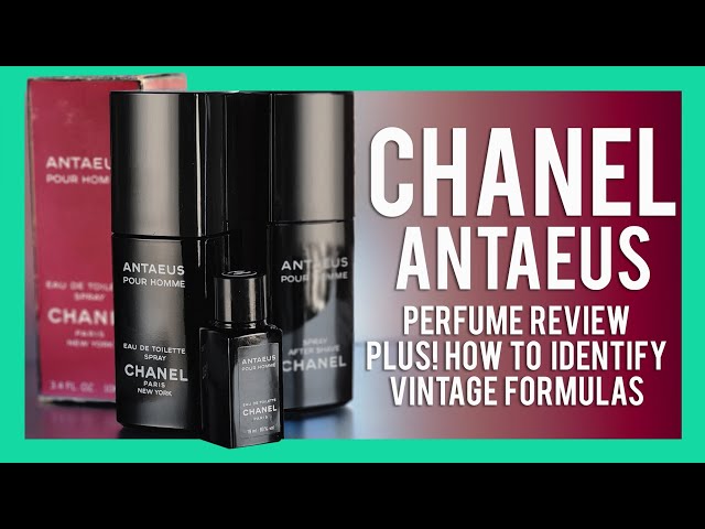 CHANEL ANTAEUS FRAGRANCE REVIEW / HOW TO ID VINTAGE FORMULAS