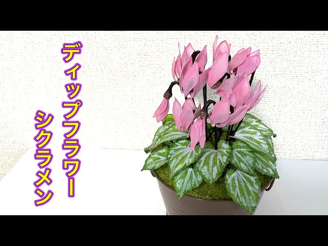 642 ディップフラワー ミニシクラメンを作ってみました。#ディップ