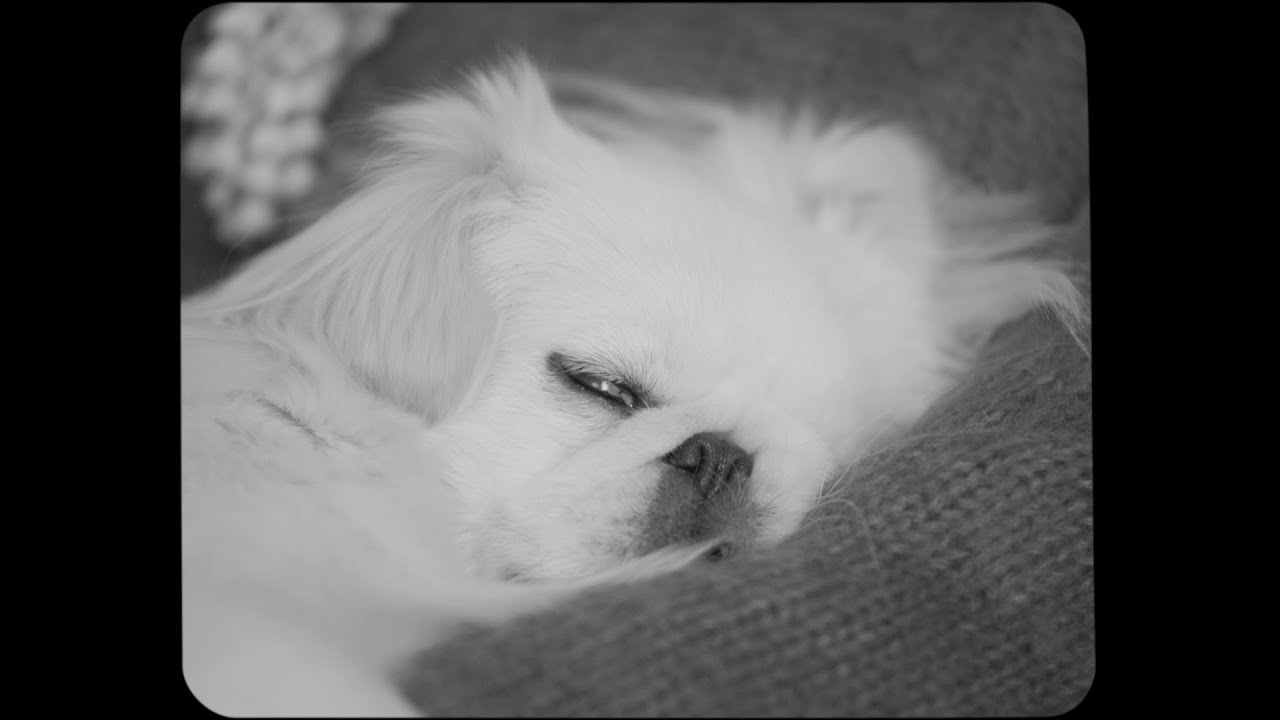 マヒトゥ・ザ・ピーポー / 失敗の歴史(Official Music Video) - YouTube