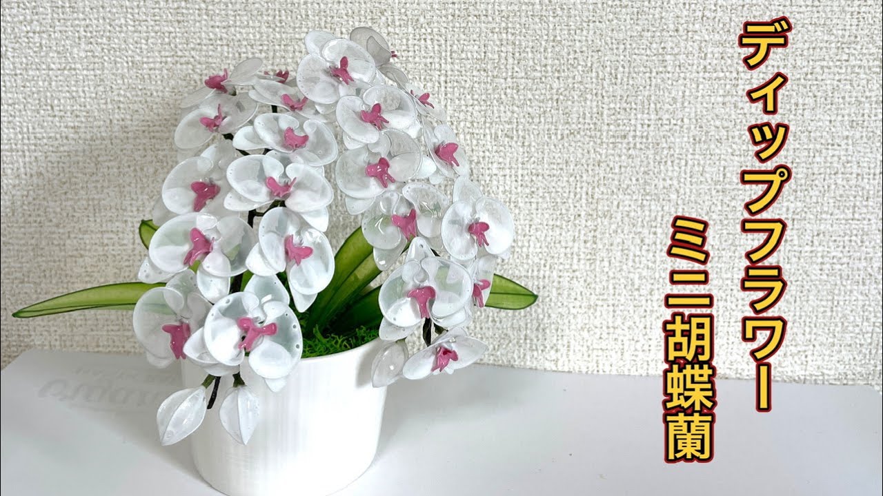 アメリカンフラワー ディップフラワー 花瓶付 アレンジフラワー 胡蝶蘭