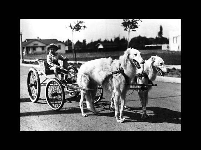 Arthur Pryor Band - The Whistler and His Dog (1913) - YouTube