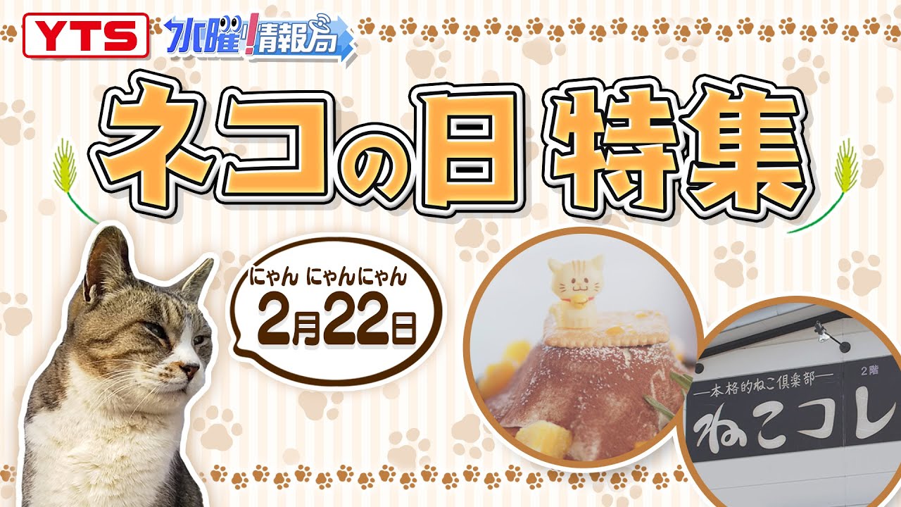 ネコの日特集】YTSゴジダス・水曜情報局 - YouTube