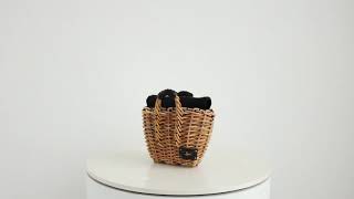 ebagos マルシェ・ミニミニ BLACK（定番トート マスコットミニ