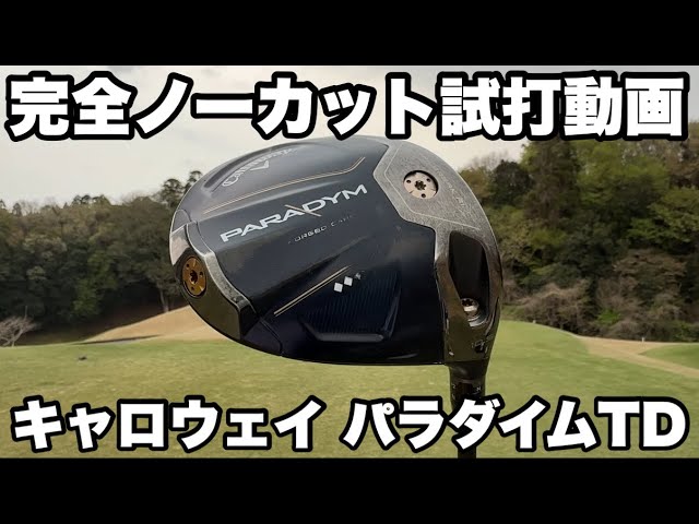 PARADYM TD] Free trial video - YouTube