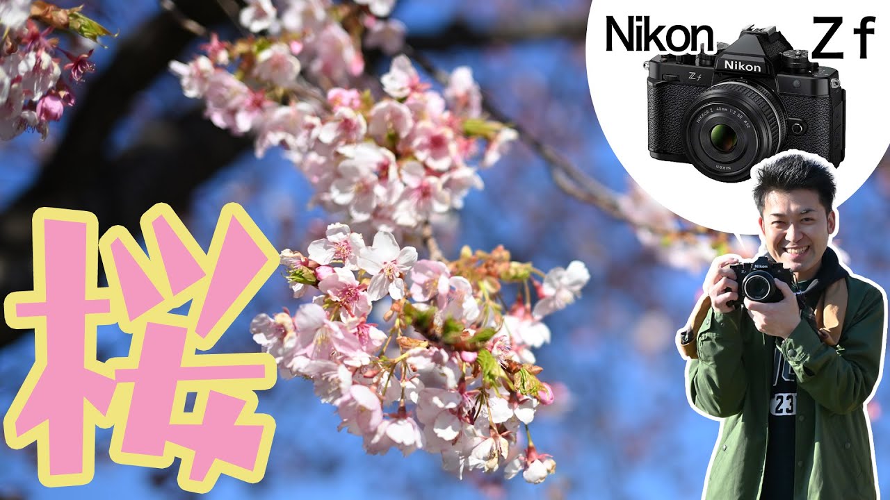 I took photos of cherry blossoms starting to bloom with the Nikon