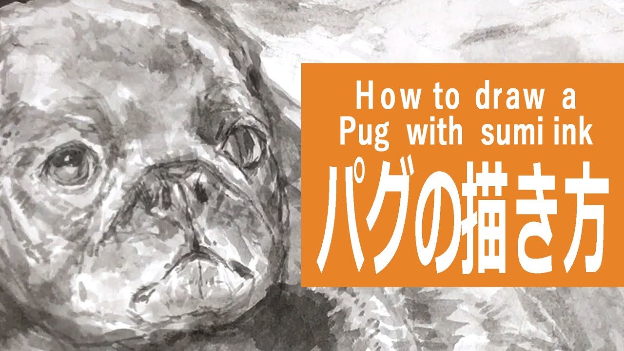 即興！水彩絵の具イラスト～パグ（犬） How to draw a Pug with sumi