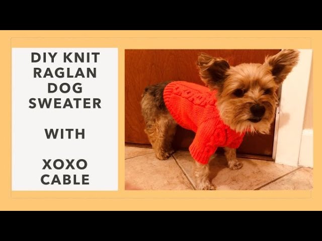 DIY KNIT XOXO KISS HUG DOG RAGLAN SWEATER - YouTube