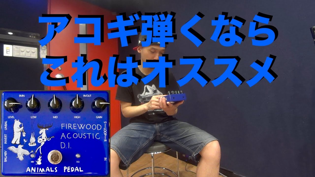 Animals Pedal Firewood Acoustic D.I. MKII