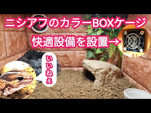 Comfortable equipment installed in the colored box cage of the