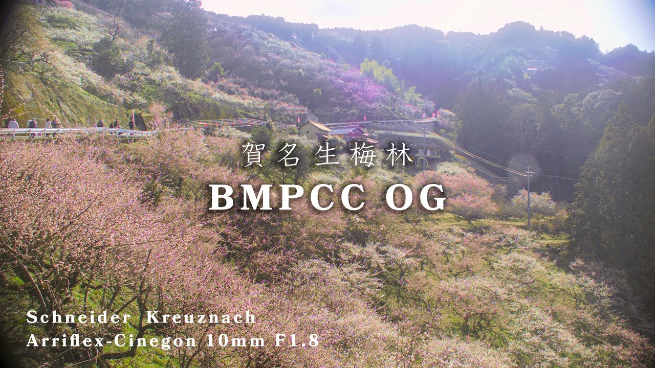 BMPCC OG】Schneider Kreuznach Arriflex-Cinegon 10mm F1.8 - YouTube