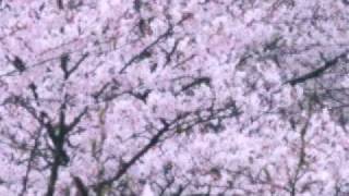 中野テルヲ、電子音まみれのソロ完成＆6月東名阪ツアー - 音楽ナタリー