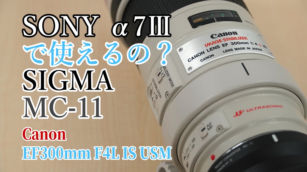 使えるの？】シグマ マウントアダプター MC-11でキヤノン EF300mm F4L