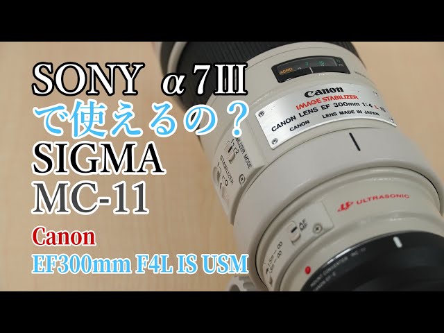 使えるの？】シグマ マウントアダプター MC-11でキヤノン EF300mm F4L