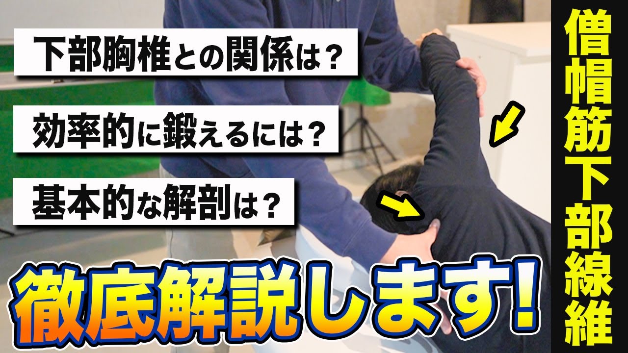 山口光國の「肩関節障害に対する理学療法」（理学療法DVD） - YouTube