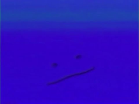 Nick Jr. - Face Sings The Blues (Original Version) - YouTube