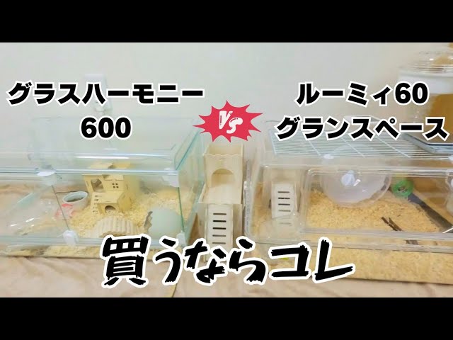 Hamster Cage] A Thorough Explanation of Glass Harmony 600 vs