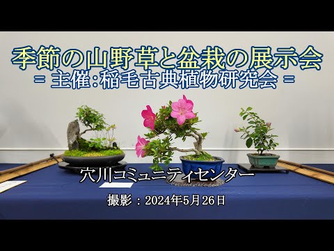 季節の山野草と盆栽の展示会 = 主催：稲毛古典植物研究会 = [4K