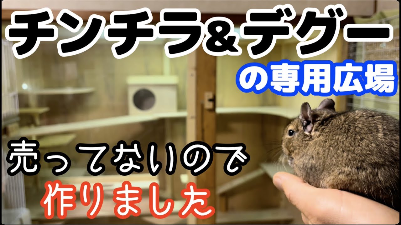 元飼育員がチンチラ&デグー専用ケージを作ったので紹介します！ - YouTube